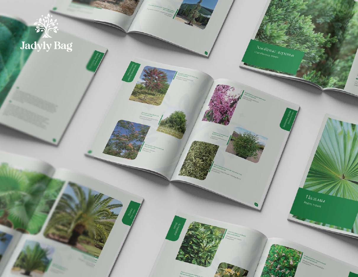 Jadyly Bag — Catalog Design